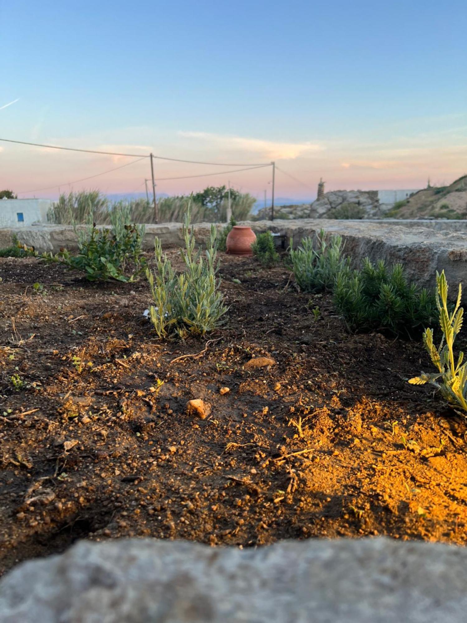 Miamis Villas Mykonos I Plintri Bagian luar foto